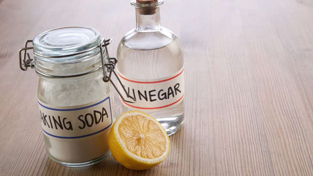 simple science experiments at home