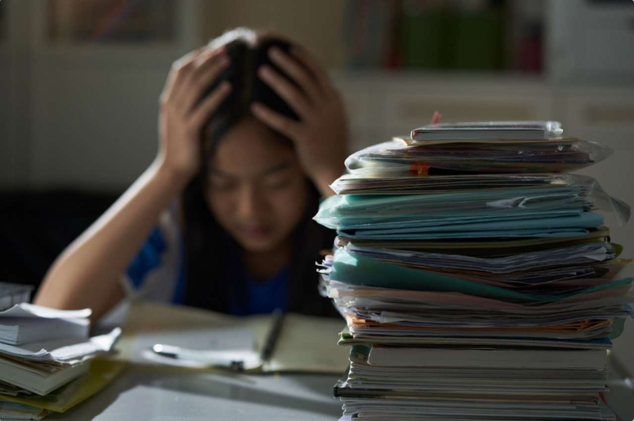 student studying for the o level exams